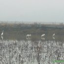 부리농장 이미지