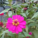 지애세탁소 이미지