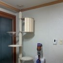 와우디자인 | 와우캣 원목 캣폴 캣타워 내돈내산 후기 / 디자인 캣타워 추천