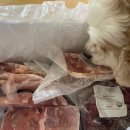 똥강아지 수제간식 이미지