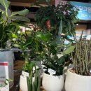 행복그린마트 이미지