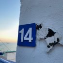 영도 바닷가 이야기 이미지