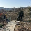 진주수진정원 이미지