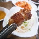 돼지의매력