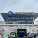 감포별미횟집 | 경주 감포 횟집 추천 [부부수산] 감포 수산시장 회 포장 후기