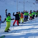 경희대 파란 태권도 이미지