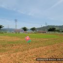 경남114부동산중개 이미지