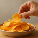 기타(플라스틱칩) | 촉촉한 황치즈칩, 구매 전 꼭 챙길 체크포인트 가이드