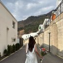 지그재그 | 브샤 본식 2부 웨딩촬영 드레스 추천 | 지그재그 내돈내산 후기