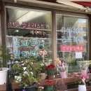플라워랜드환희