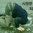 가지가지 Daum카페