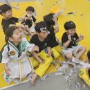 성균관태권스쿨 이미지