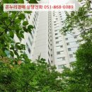 하단동111 이미지