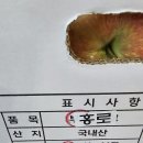 햇홍로사과.나주원황배. 이미지