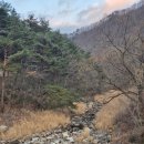 한주동안 이미지