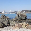 진하해수욕장 이미지