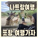 가자 | 나트랑 세미패키지 포항 여행사 여행가자 후기