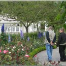 나래복권 이미지