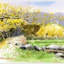 수채화2 이미지