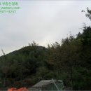 진전면938 이미지