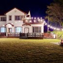 돌담과 초록 이미지