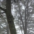한라수목원입구사거리 | 제주 한라수목원, 제국공항 근처 대중교통으로 가볼만...수목원 광이오름, 근처 맛집 정보까지 실시간 후기