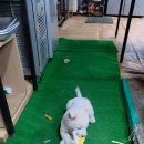 36식자재 이미지