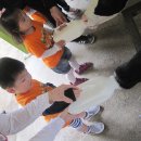 대연목장 이미지