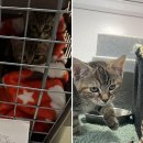 인계삼성(아) 이미지