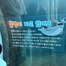 사천바다가까운집 | 사천 아쿠아리움 아라마루 아이랑 가볼만한 곳 + 할인 팁