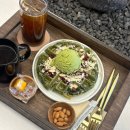 피씨카페티 | 사랑 못함 낭만 없음 늙음