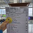 코리아레일투어 내돈내산 기차여행 경상환타지아 1일차 후기 (포항-울산)