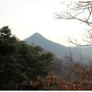 월산1리 이미지