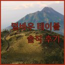 엘미오 | 내돈내산 멀바우 테이블 후기, 장점과 단점 완벽 비교!