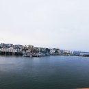 대포김밥 이미지