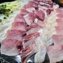 활어장군 이미지