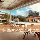사천 카페! 커피팀버사천포레스트 : 시원한 통창과 여러 포토존이 있던 그곳