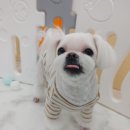 킹스유치원 이미지