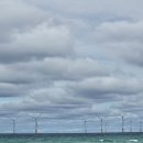 낭만가축산 | [2025 제주여행#5] 제주 협재해수욕장에서 놀고 스타벅스 제주 음료 마신 후 삼성혈 방문한 후기