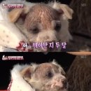 노안농장 이미지