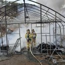 무릉도원면-21 이미지