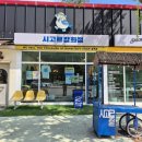 시고르청춘