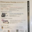 호매실동 행정복지센터 중회의실 | 수원 금곡동 왁싱 다이니크 왁싱 가서 남자 브라질리언 왁싱 제대로 하고 왔어요