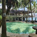 라브리사 이미지