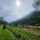 수목장 | 고요한 연천 한맘수목장, 처음으로 방문해본 수목장 후기