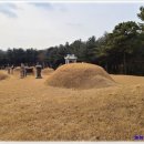 이유청 묘 이미지