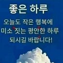 [정보] 호불호 강한 고수, 효능은 어마어마! 이미지