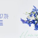 에스코어주 이미지