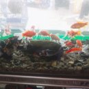 홍주수족관 이미지