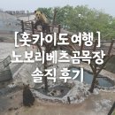 곰목장 | (홋카이도 관광)노보리베츠 곰목장 방문 솔직 후기(입장료, 주차비, 운영시간 등)